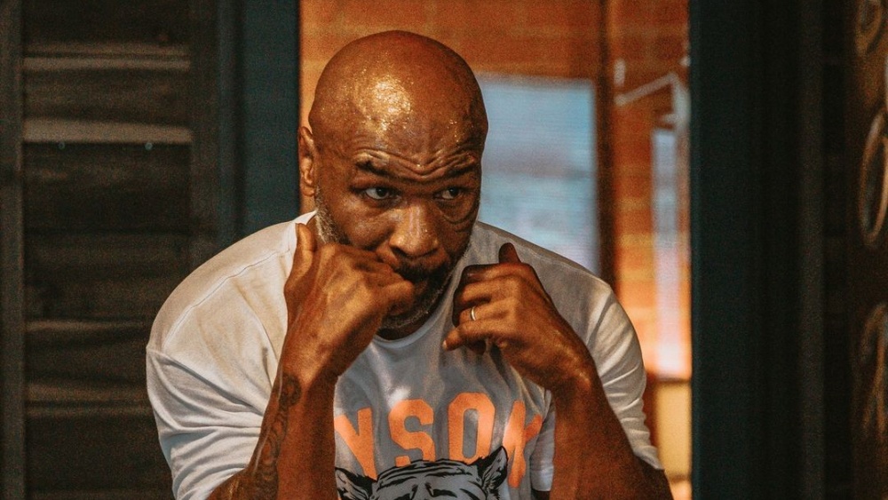 Hardest punchers in boxing history